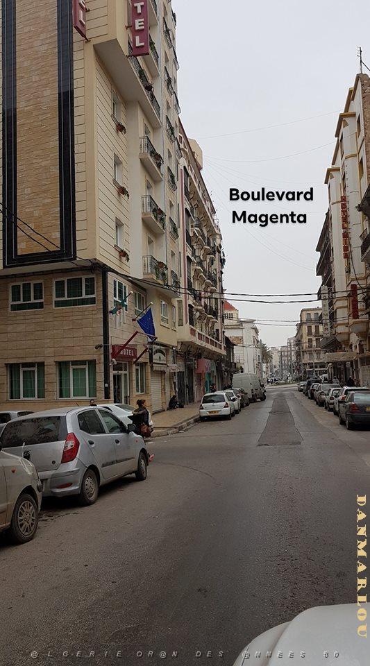 ORAN BD MAGENTA 2.jpg